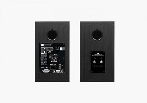 Triangle Borea BR02 BT Black Ash