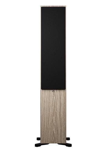 Dynaudio Focus 50 Blonde Wood