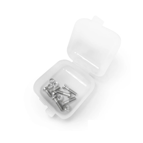 Analog Renaissance Screw Nut Silver Set (6 pcs.)