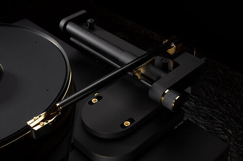 Bergmann Galder & Odin Gold Edition Black Velvet/24 Carat Gold Plating