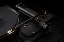 Bergmann Galder & Odin Gold Edition Black Velvet/24 Carat Gold Plating