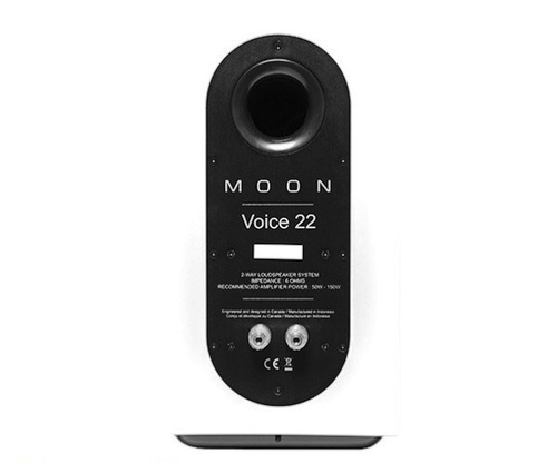 Moon Voice 22 White Gloss