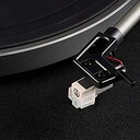 Phaze Audio Diana Shadow Black AT3600L