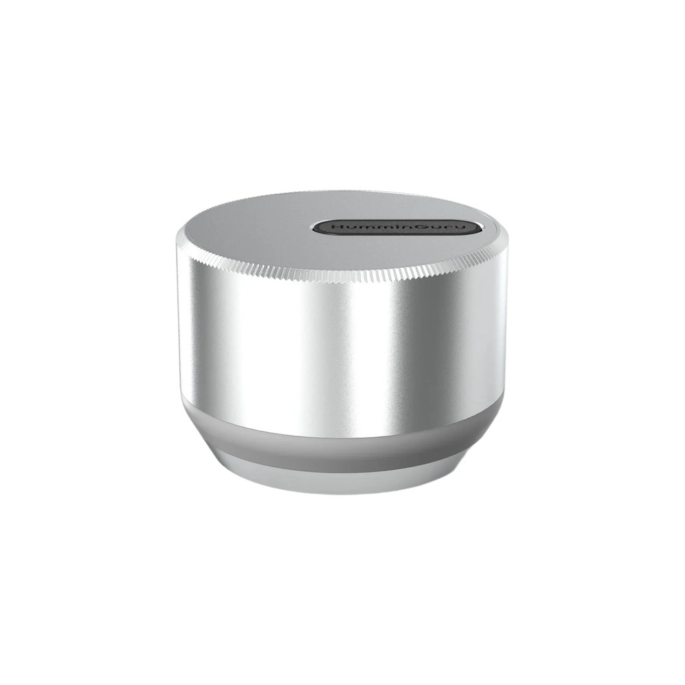 HumminGuru LUMI Record Stabilizer