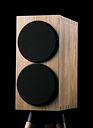 Buchardt Audio E50 Natural Oak