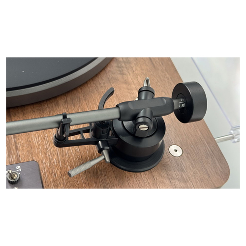 Phaze Audio Adelle Walnut