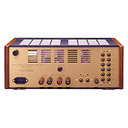 Leben CS-300XS Gold/Wood